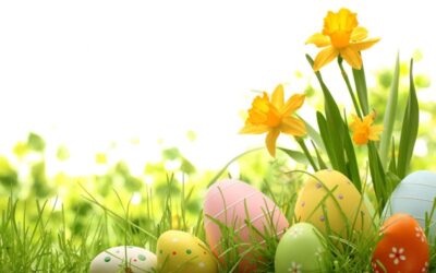 Openingstijden feestdagen